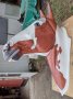 Horse Head  Life Size ,Custom Painted